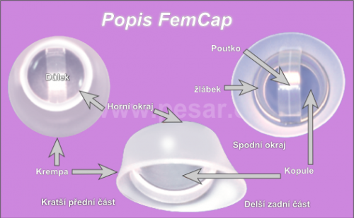 Popis FemCap